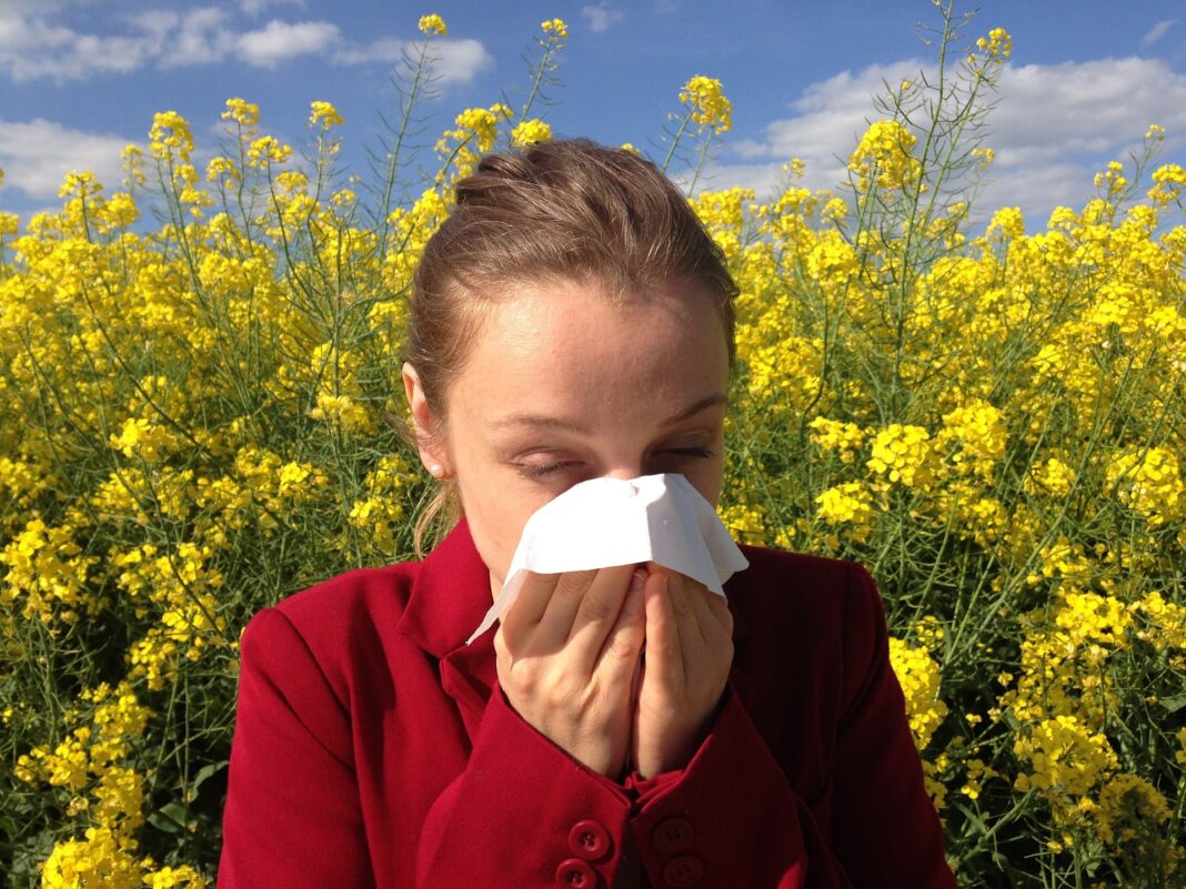 алергия кихане кърпчика